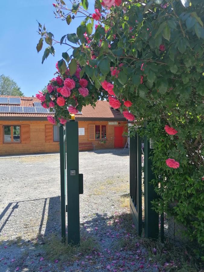 Agriturismo Bio Apipoli Lucino Dış mekan fotoğraf