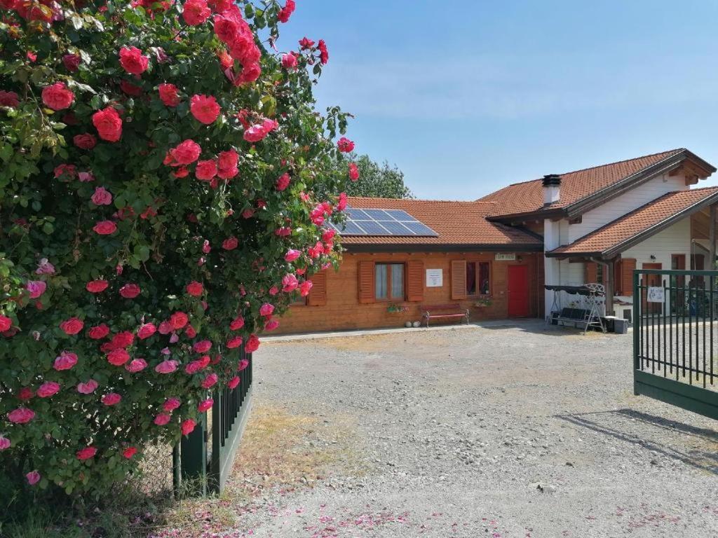 Agriturismo Bio Apipoli Lucino Dış mekan fotoğraf